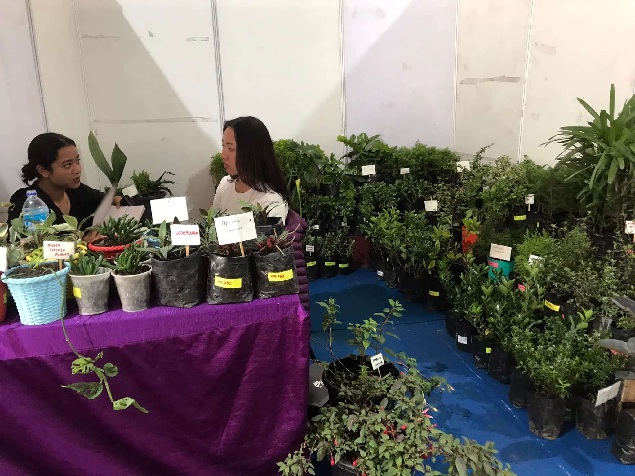 Dechen Trophel Flower Nursery showcasing diverse flowering plants at Bhutan Mega Expo on Agriculture Products